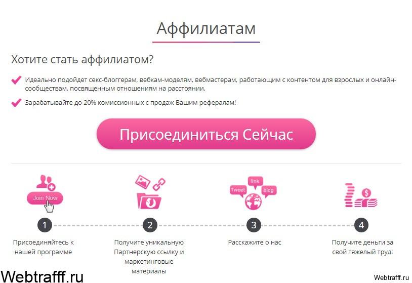 Lovense заработок