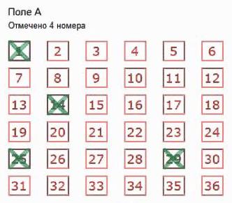 поле лотереи