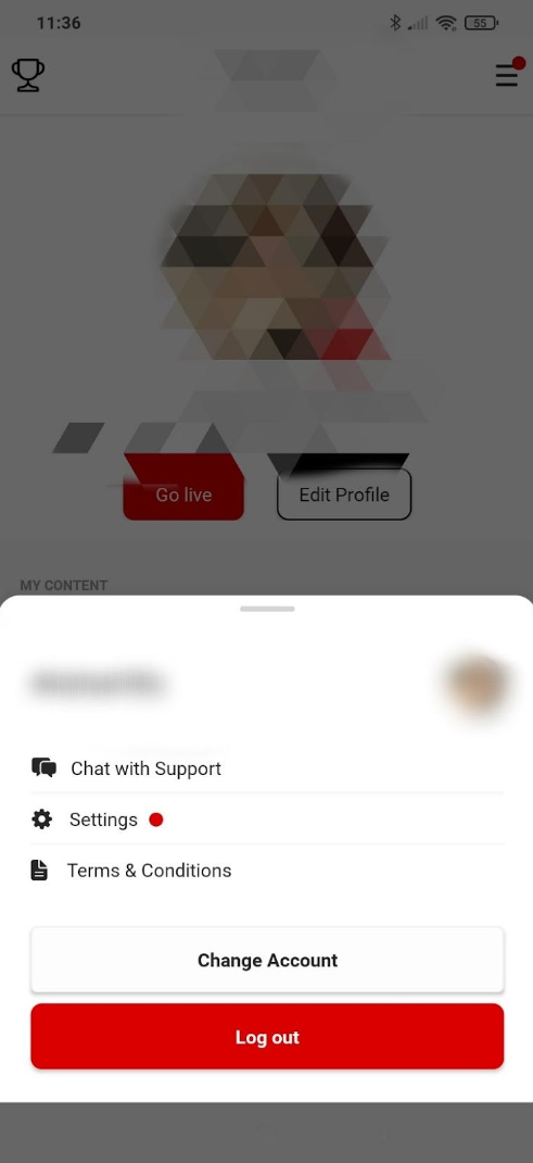 запуск стрима в MC Messenger от LiveJasmin